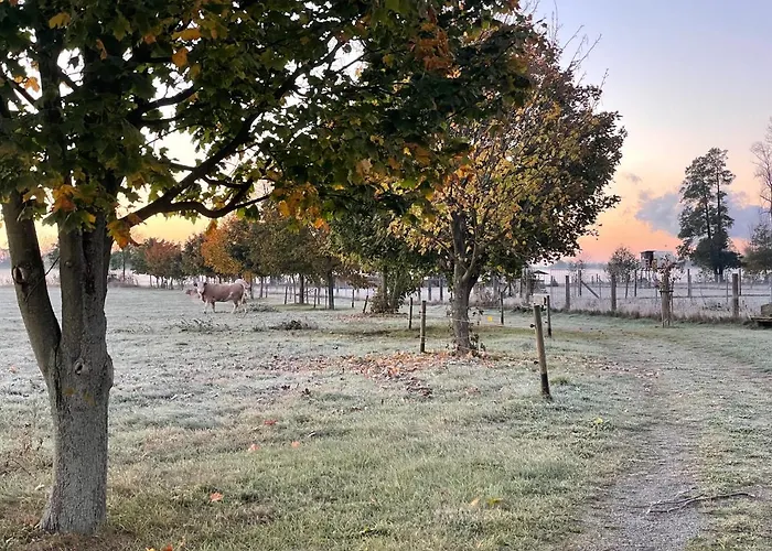 Christinenhof & - Wellnesshotel Am Rande Des Spreewalds