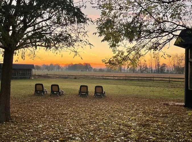 Hotel Christinenhof & - Wellnesshotel Am Rande Des Spreewalds Tauer (Spree-Neisse)