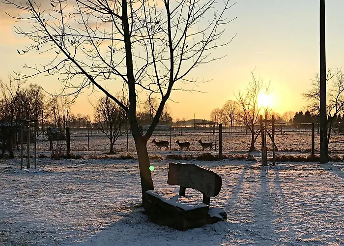 Christinenhof & - Wellnesshotel Am Rande Des Spreewalds Hotel